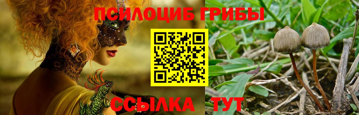 Галлюциногенные грибы прущие грибы Алексин